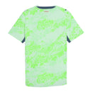 Camisa Seleção Suíça II 26/27 - Torcedor Puma Masculina - Verde