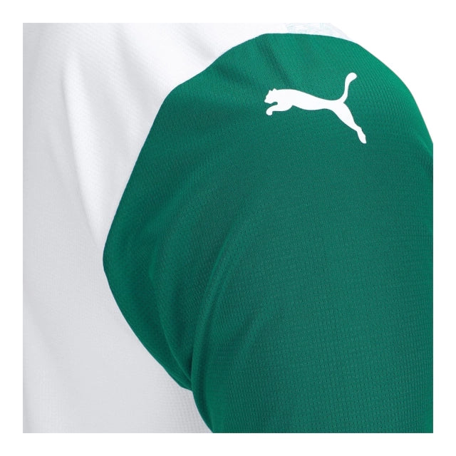 Camisa Palmeiras II 25/26 - Torcedor - Puma - Masculina - Branca e verde